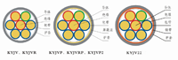 輻照交聯(lián)聚乙烯絕緣控制電纜